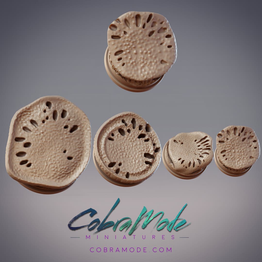 Mushroom Cap Base Pack (4pcs) 3d model