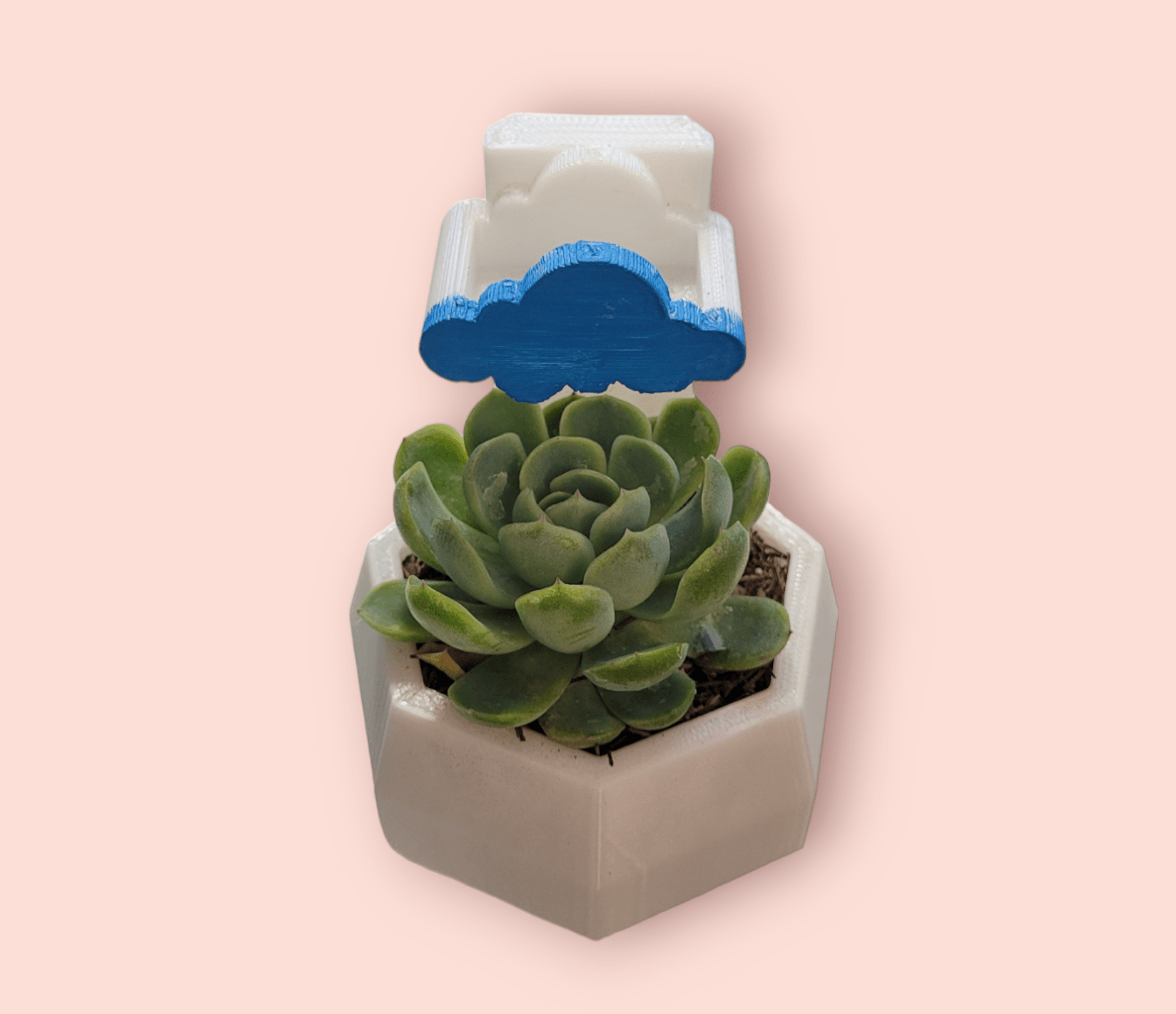 MINIMALIST POT WITH WATERING CLOUD 3d model