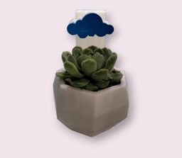 MINIMALIST POT WITH WATERING CLOUD 3d model