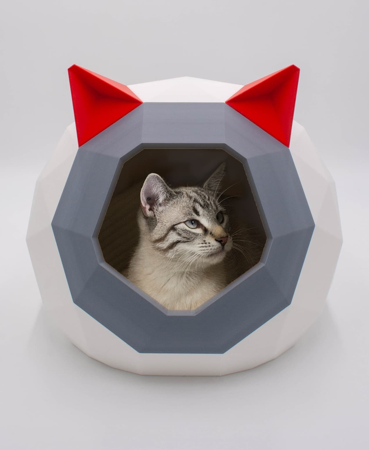 HOUSE FOR CAT TAO LOW POLY V2 - Follow us: https://linktr.ee/catalpine 3d model