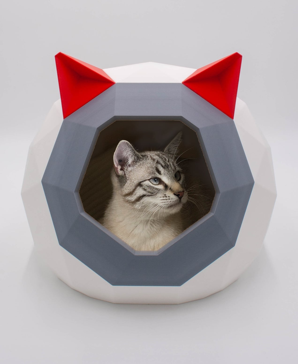HOUSE FOR CAT TAO LOW POLY V2 - Follow us: https://linktr.ee/catalpine 3d model