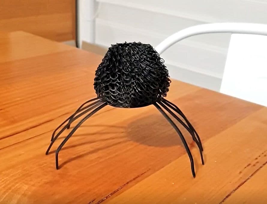 Hairy Jumping Spider 3d model
