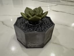 SUCCULENT SPINNER 3d model