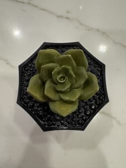 SUCCULENT SPINNER 3d model
