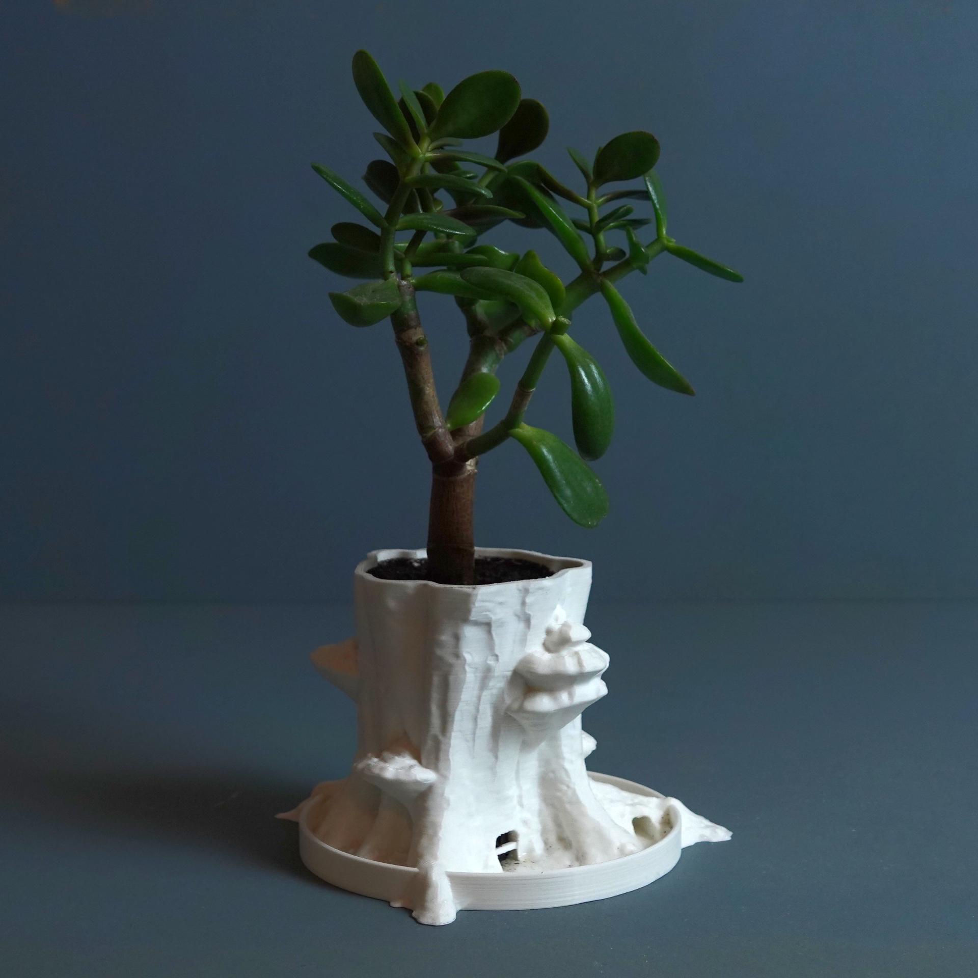 Planter “Sylvatica Tree” 3d model