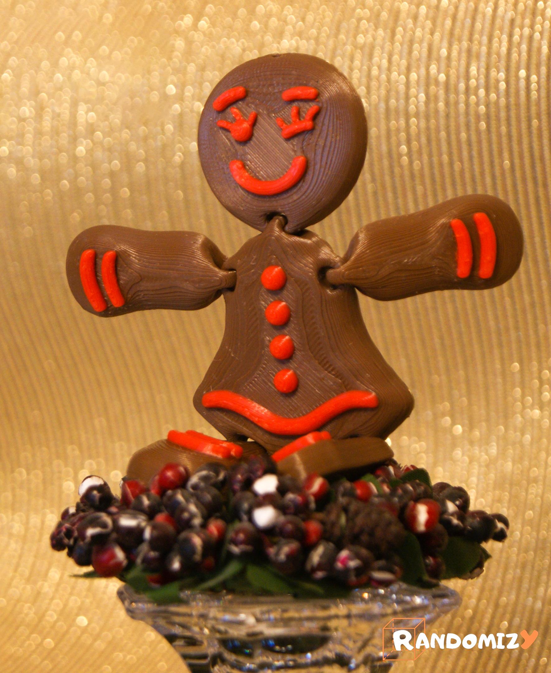 Flexi Gingerbread Woman.stl 3d model