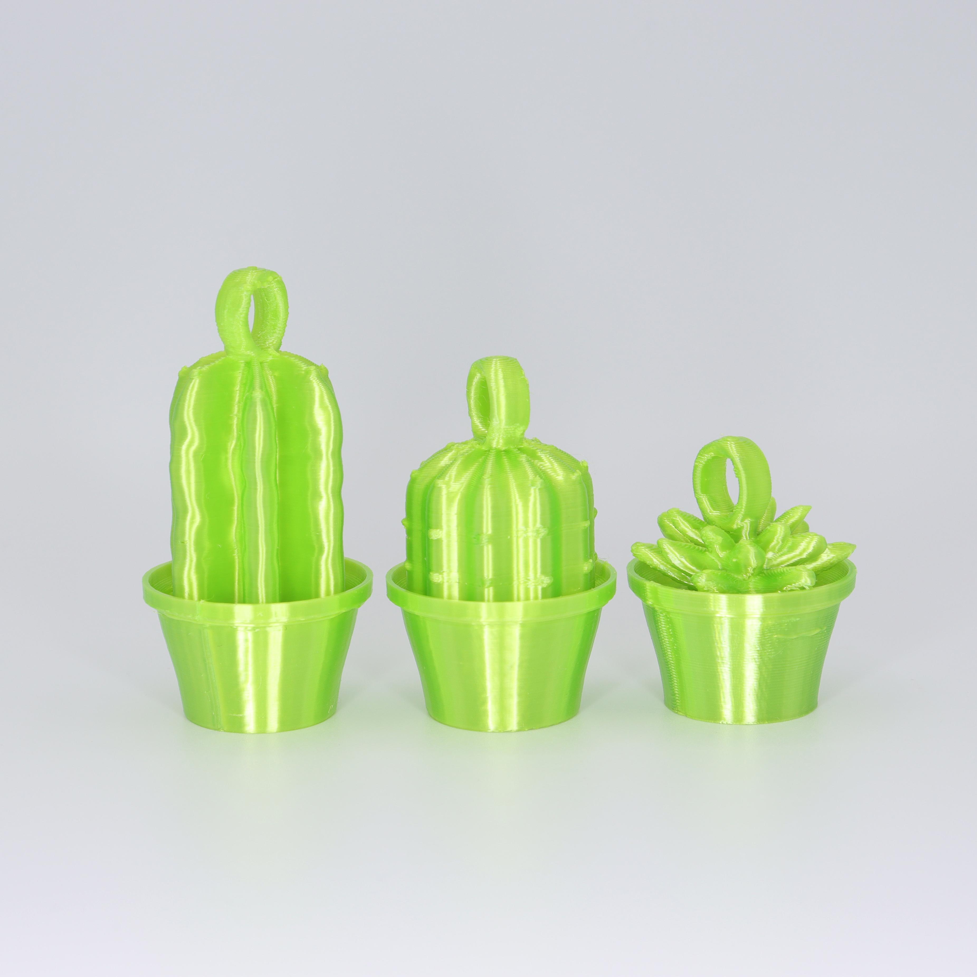 Cactus Keyrings 3d model