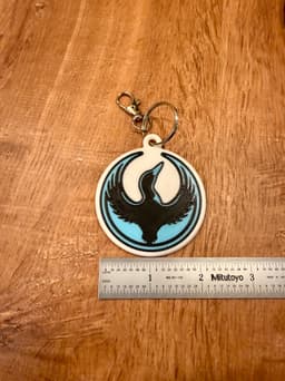 Minnesota Rebel Alliance - Key Chain & Sign 3d model