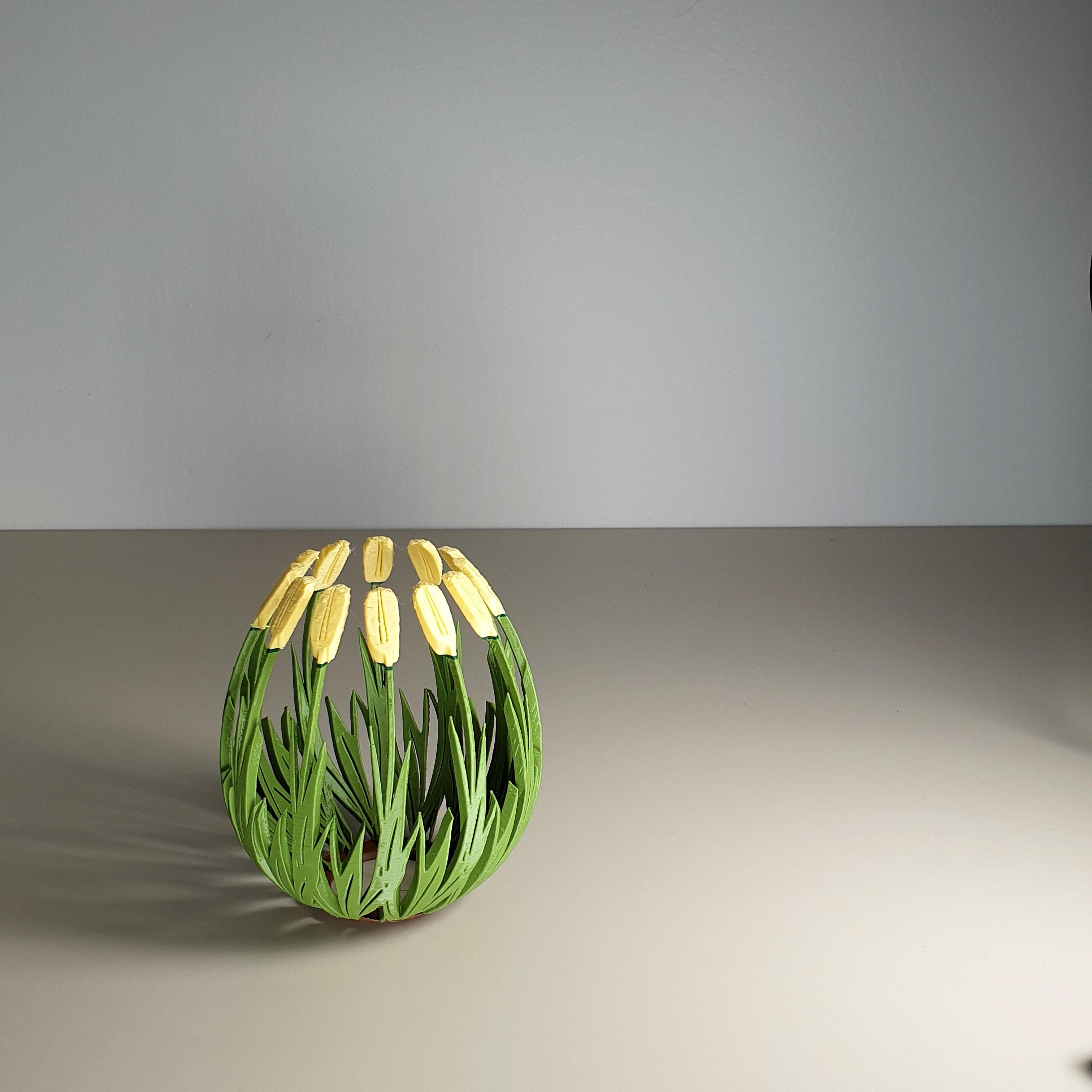 Tulip Egg 3d model