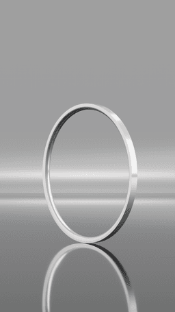 Simple Ring 3d model