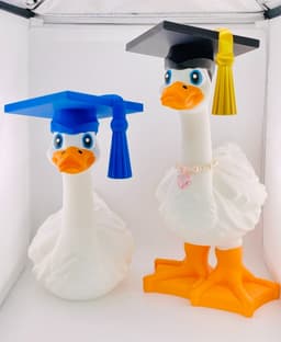 Graduation Cap Goose Gear for Porch Goose 3d model