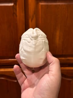 3d model