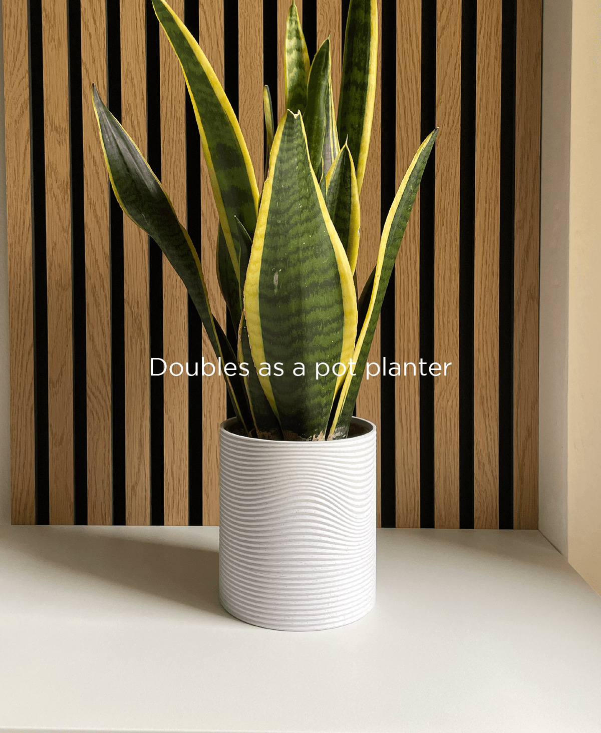 Cactus Coasters, vase with removable coasters. 3d model