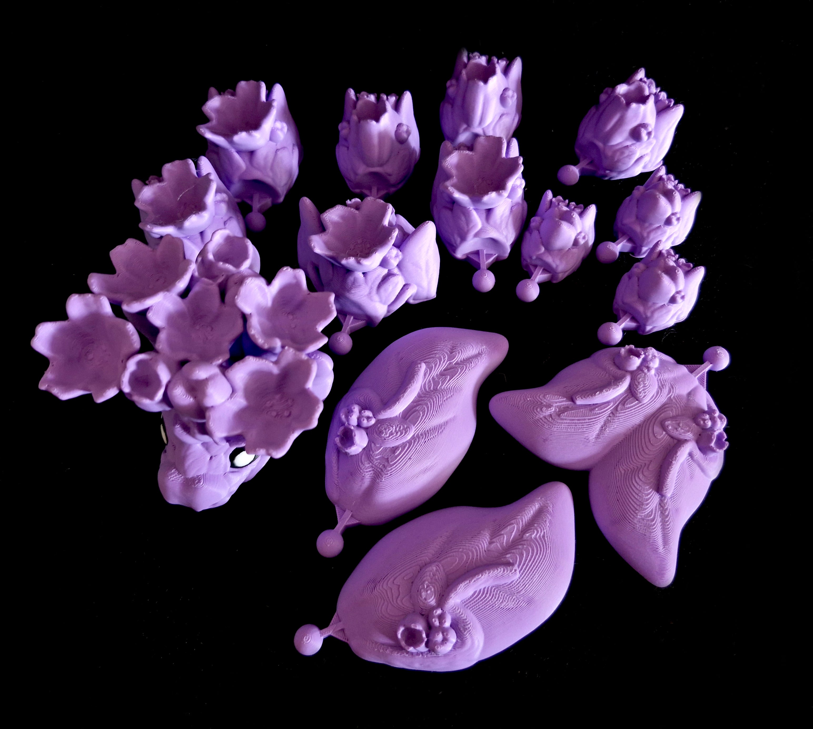 Bloomara The Spring Dragon B.A.D (Personal Use) 3d model