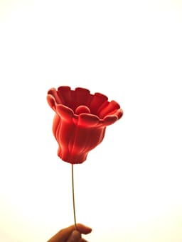 Cruel Coral 3d model
