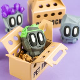 Blob Rocks - Mini Pet Rock Blind Box Collectible Art Toy 3d model