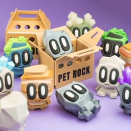 Blob Rocks - Mini Pet Rock Blind Box Collectible Art Toy 3d model