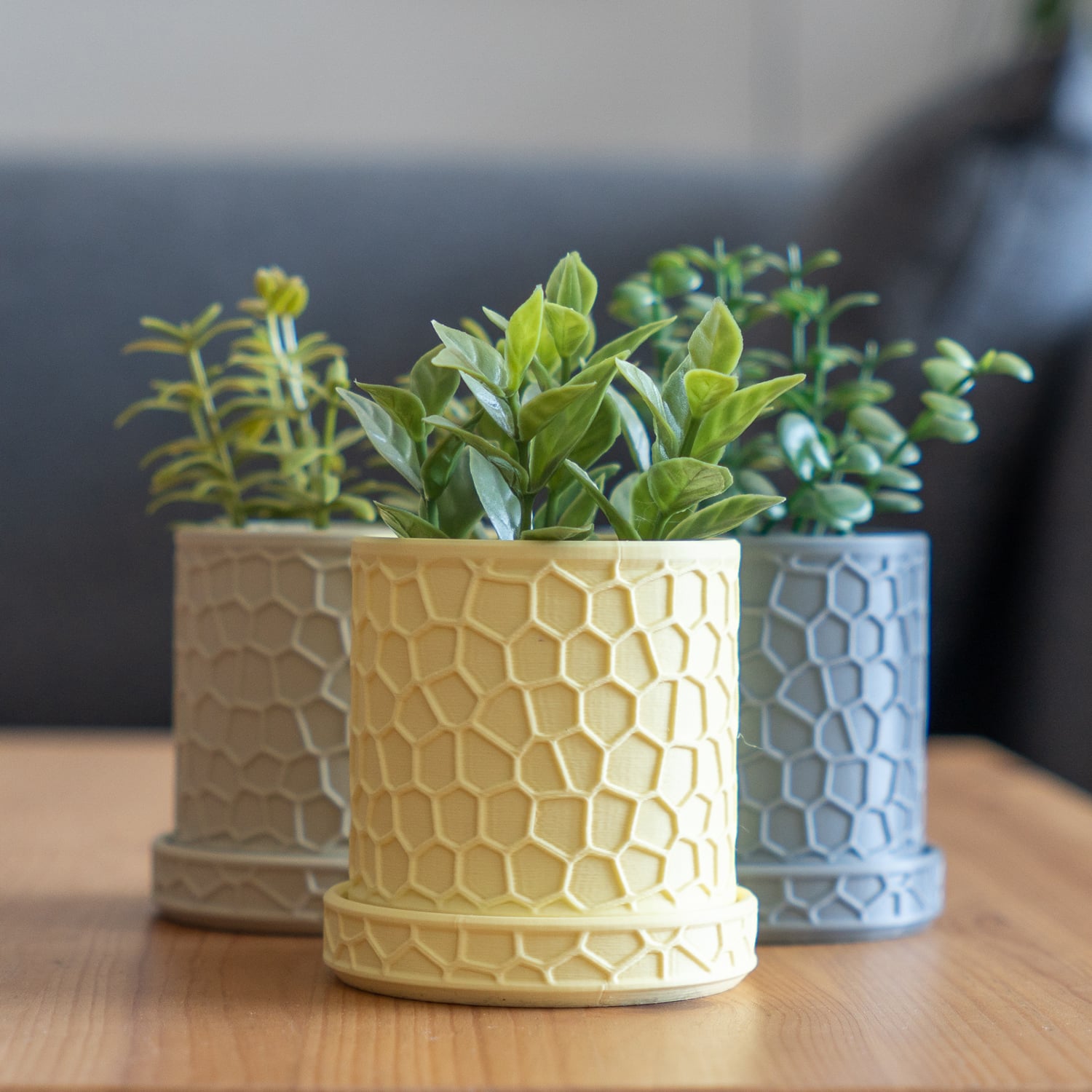 Honeycomb Planter 3d model