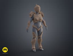 Master Nova Armor - Heroes of the Storm 3d model