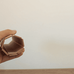 Roll-up Quoridor 3d model