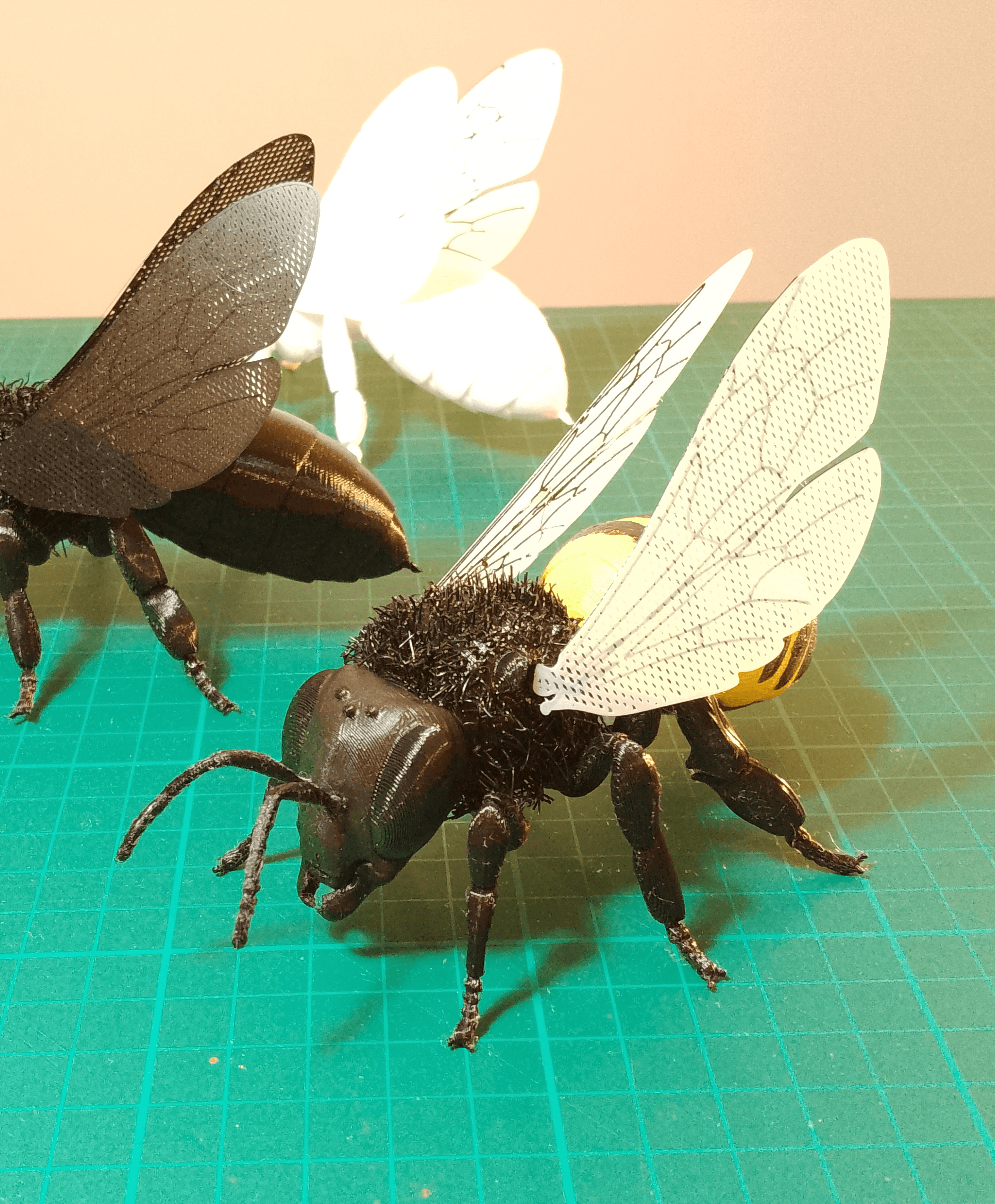 Hairify Honey Bee 3d model