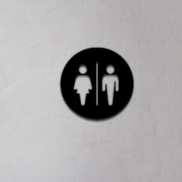 Toilet Sign 3d model