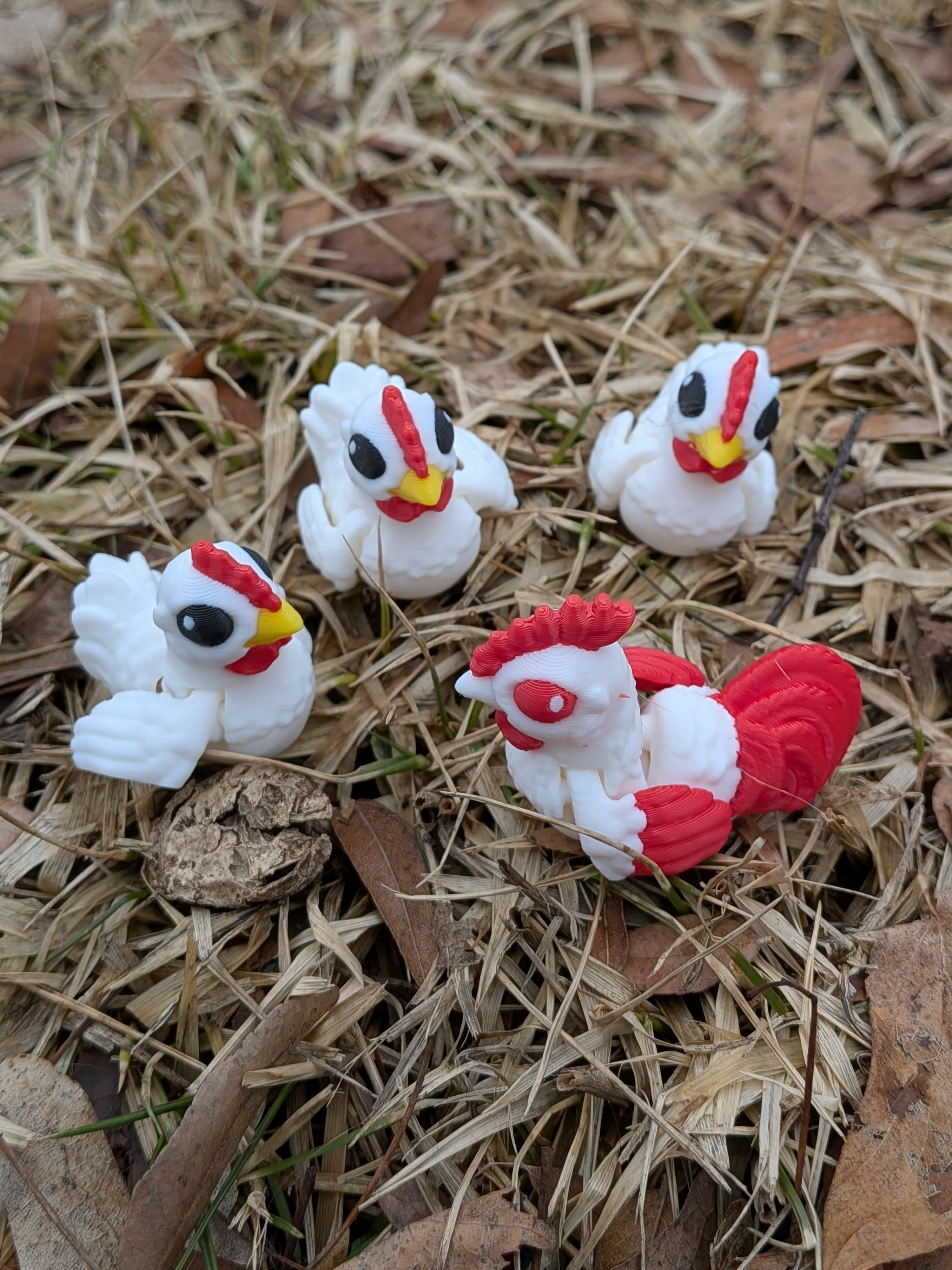 Just some fun chickens.