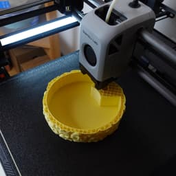 Sliced Pineapple 3d model