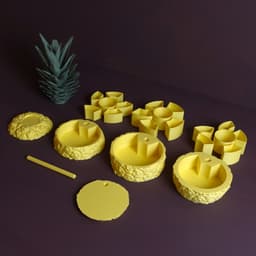 Sliced Pineapple 3d model