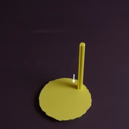 Sliced Pineapple 3d model
