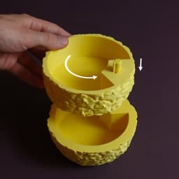 Sliced Pineapple 3d model