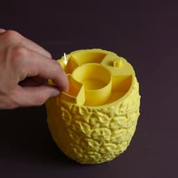 Sliced Pineapple 3d model