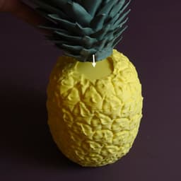 Sliced Pineapple 3d model