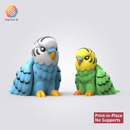 Flexi Budgie 3d model