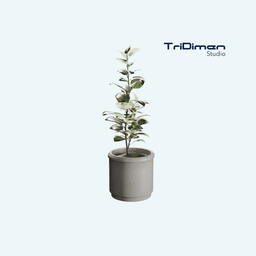 Planter - Desktop Planter - Home Decor 05 3d model