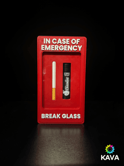 In Case of Emergency: Cigarette & Lighter Edition 3d model