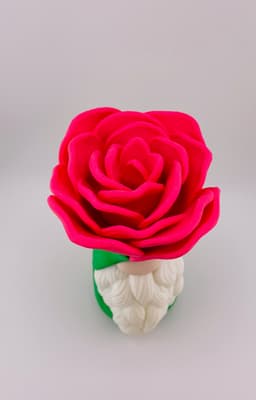 Rose Gnome 3d model