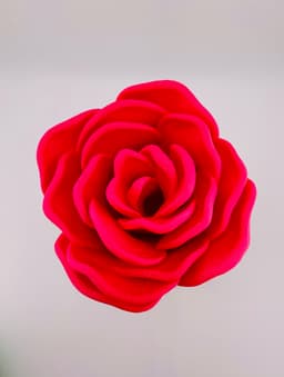 Rose Gnome 3d model