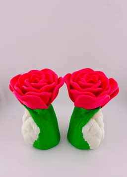 Rose Gnome 3d model