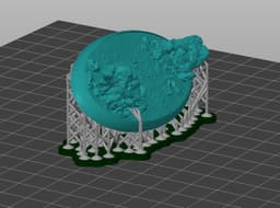 Oval Miniature Base with Rocks and Skull – 67x38mm Presupported 3d model