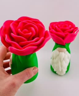 Rose Gnome 3d model
