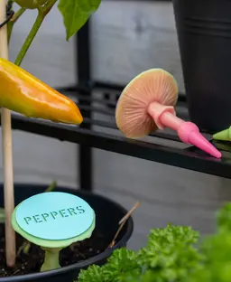 Mushroom plant label “Agaricus Silvaticus” 3d model