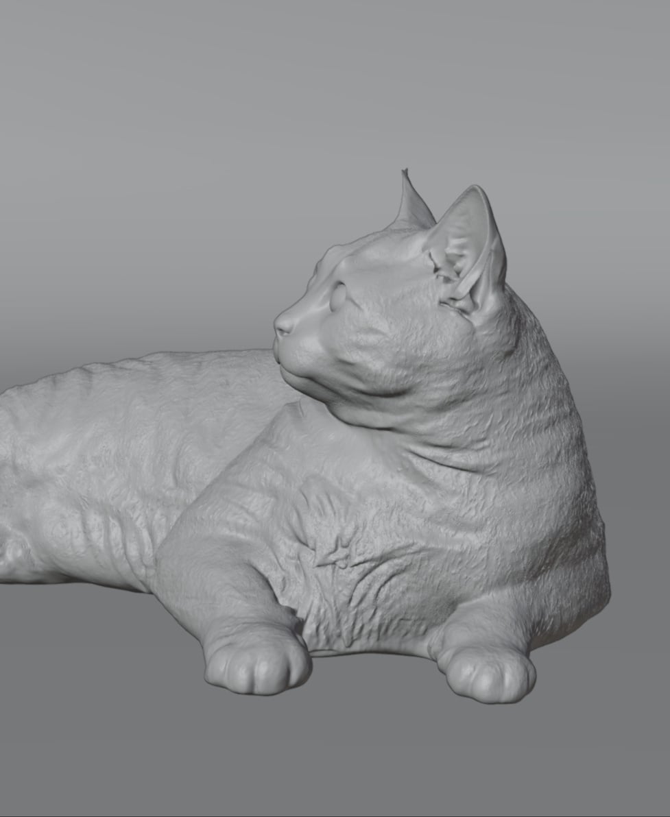 Cat lying down 3d model