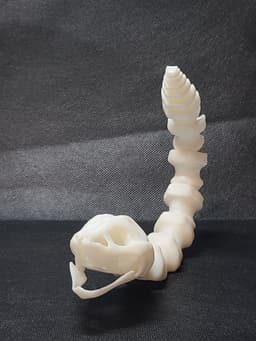 Sleek-Eyed Bone Snake (Medium Tightness) - Articulated Snap-Flex Fidget 3d model