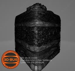 Piece of cake 1 3d model