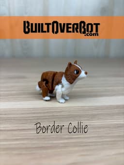 Border Collie - Smokey 3d model
