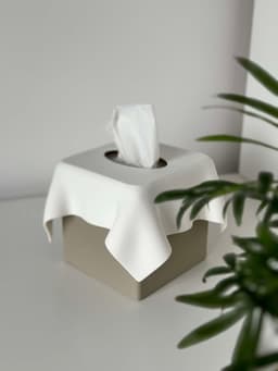 SCULPTIS tissue box 3d model