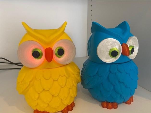 Multi Coloured Owl Lights for NeoPixel Lights 3d model