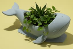 Decorative Whale Plant Pot Modern Indoor Succulent Planter 3d model