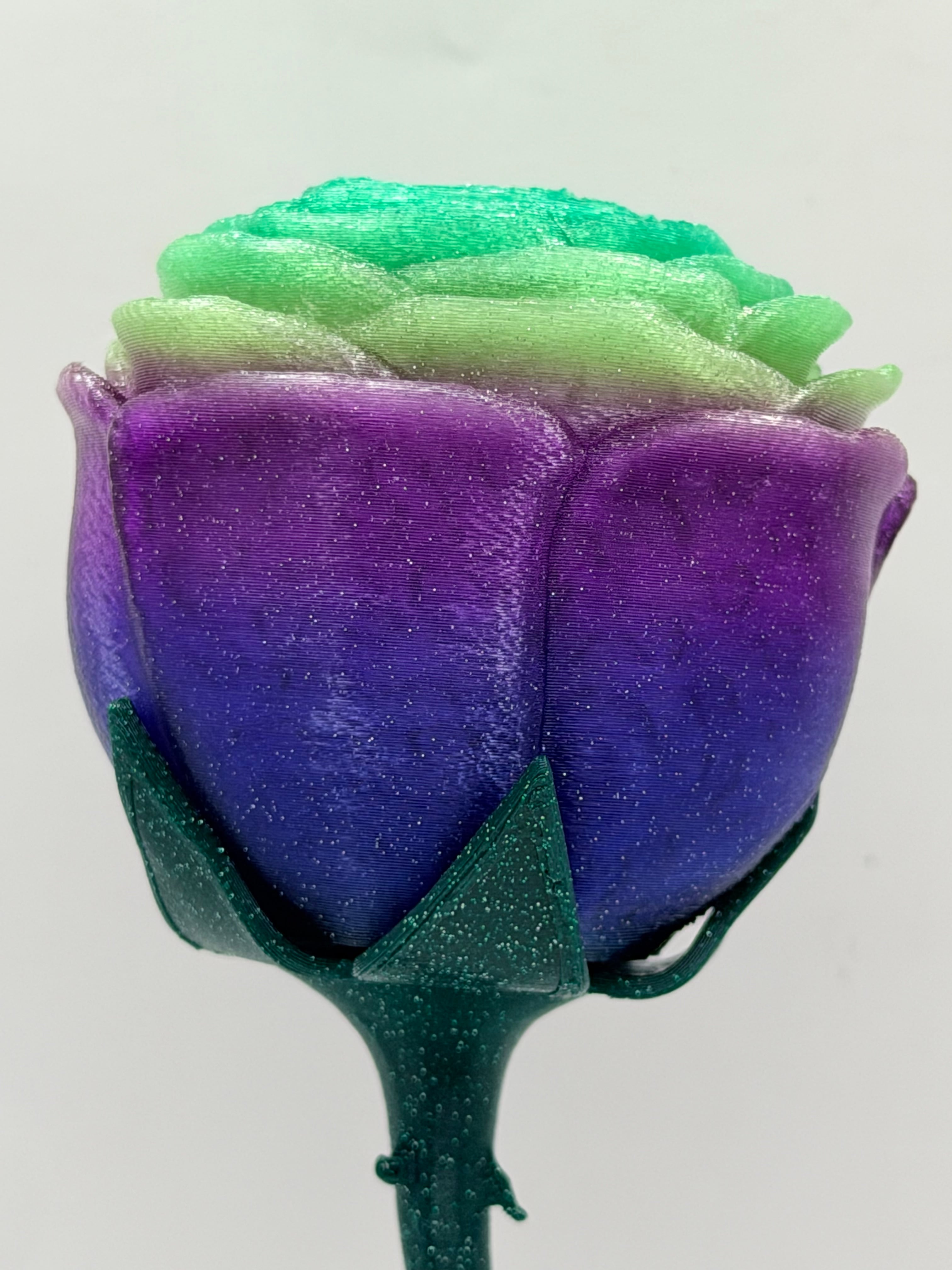Printed amazingly out of West3D Ambrosia Galaxy Sparkle and Polymaker Galaxy Dark Green...